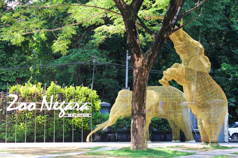 Zoo negara